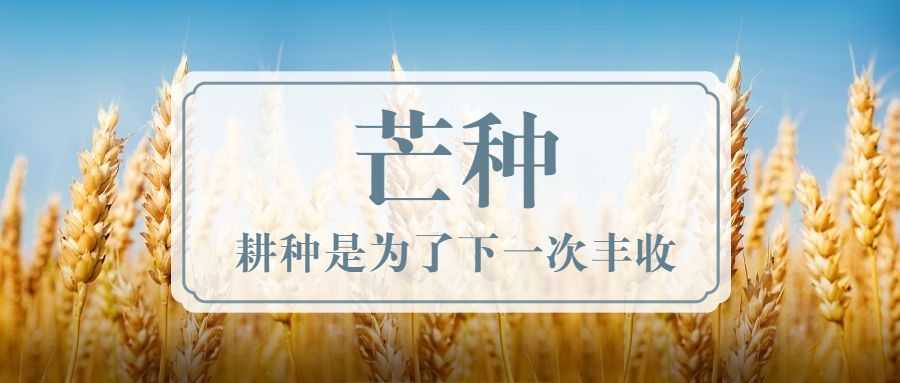 芒種時節(jié) | 耕種是為了下一次豐收
