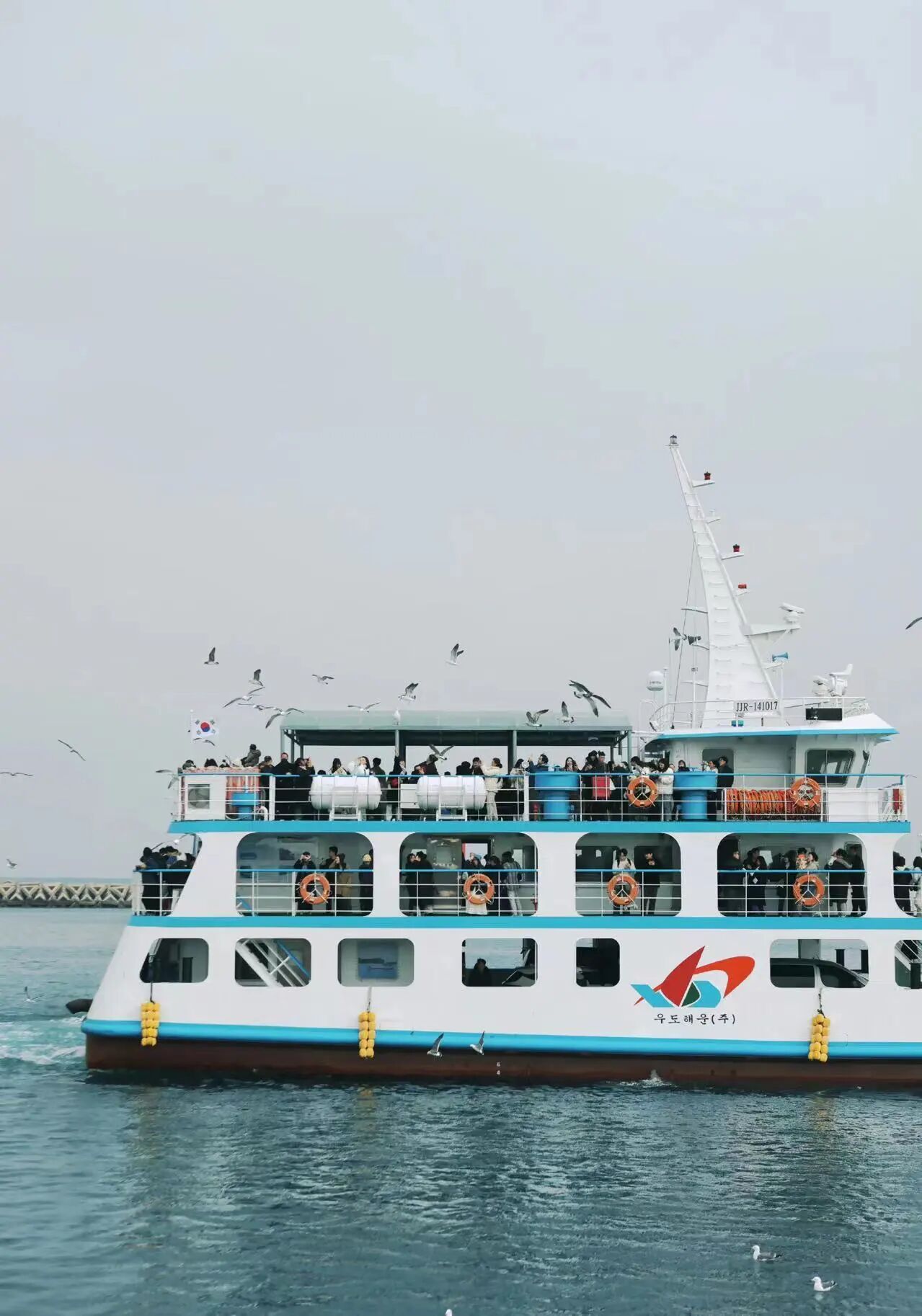 十年相伴,濟州同行 |2025年 通錦精密老員工七夕韓國之旅圓滿收官! 十年相伴,濟州同行 |2025年 通錦精密老員工七夕韓國之旅圓滿收官!