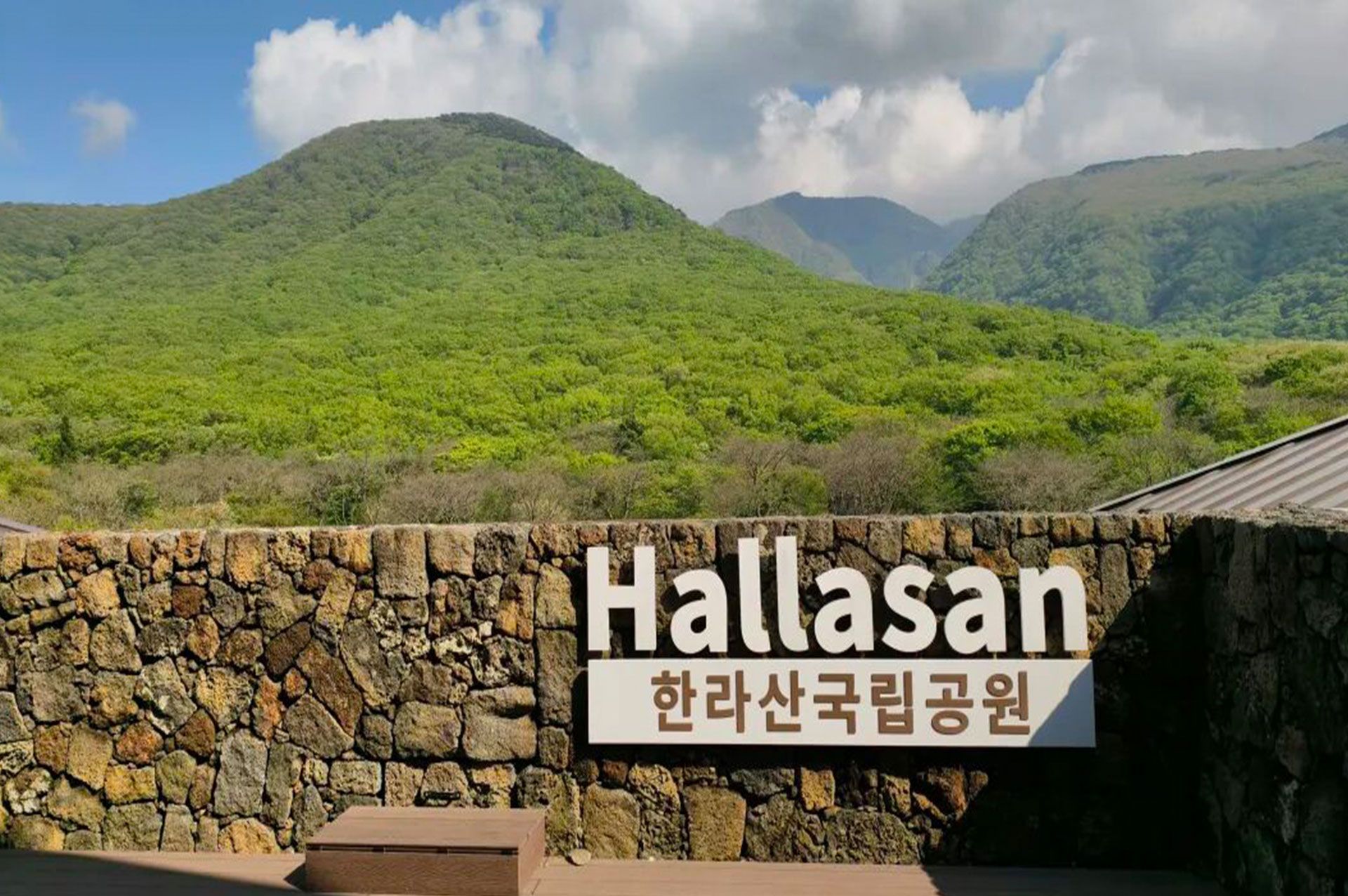 十年相伴,濟州同行 |2025年 通錦精密老員工七夕韓國之旅圓滿收官! 十年相伴,濟州同行 |2025年 通錦精密老員工七夕韓國之旅圓滿收官!