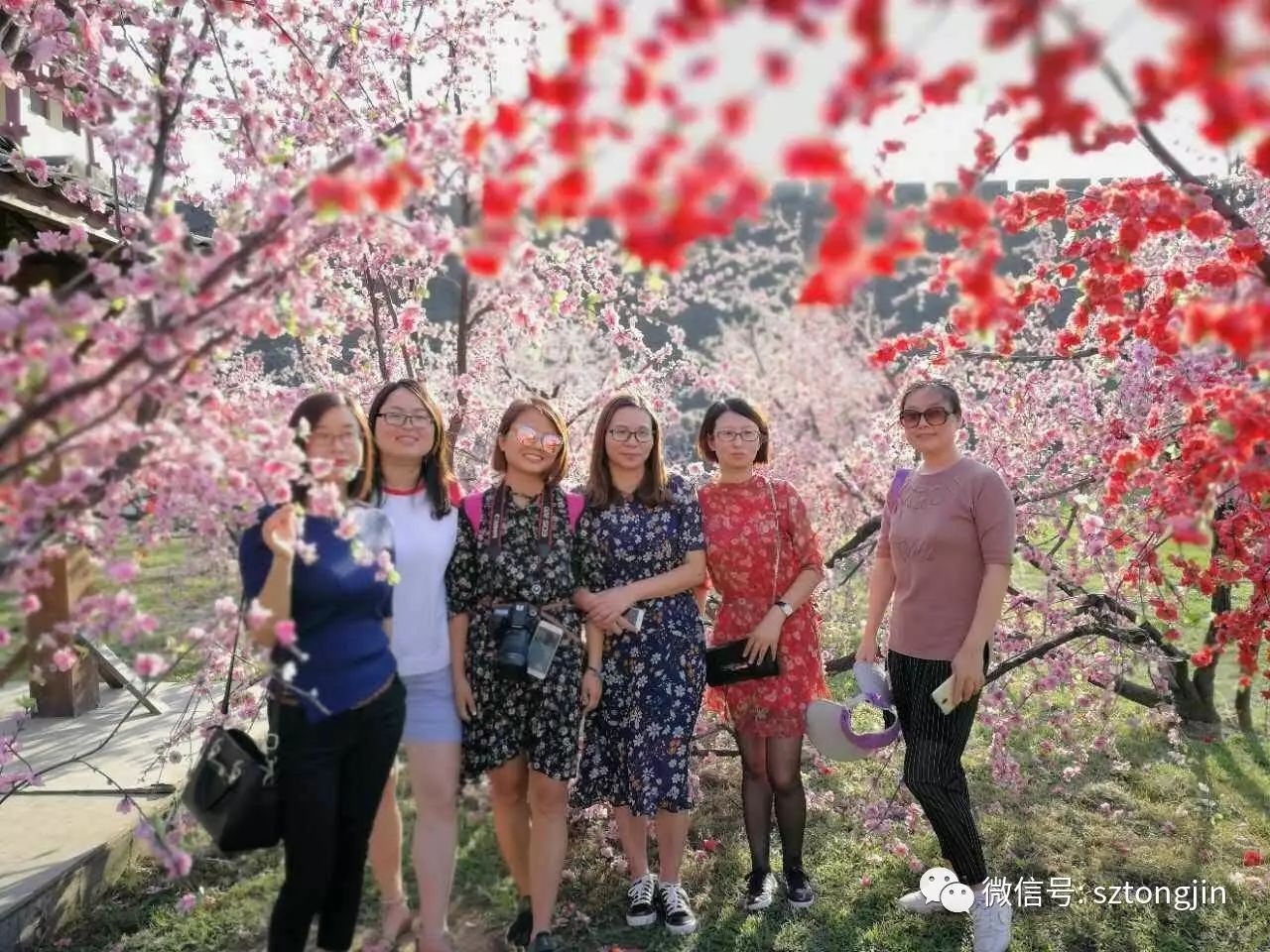 蘇州通錦金秋橫店歡樂游圓滿結束!